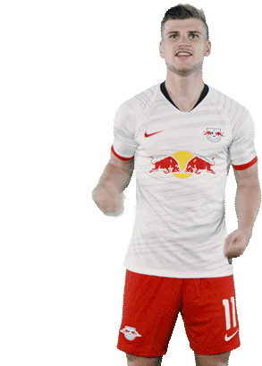 jawohl-timo-werner.gif